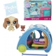 HASBRO LPS Littlest Pet Shop tématický set se zvířátkem 2ks 2 druhy